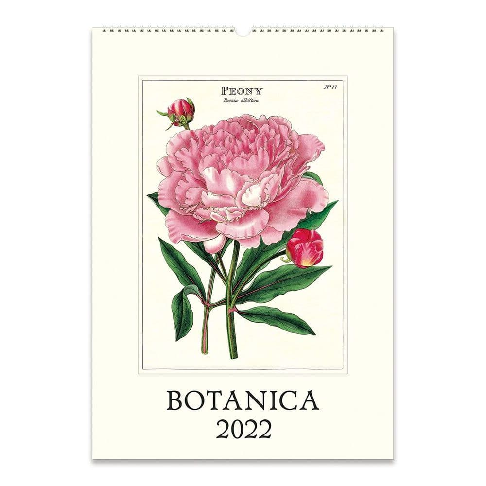 Botanica Art 2022 Poster Wall Calendar