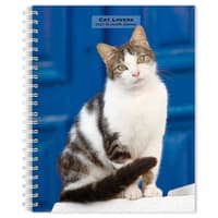 image Cat Lovers 2027 Engagement Planner Main Product Image