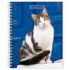 image Cat Lovers 2027 Engagement Planner Main Product Image