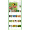 image Audubon 365 Songbirds 2026 Wall Calendar Third Alternate Image