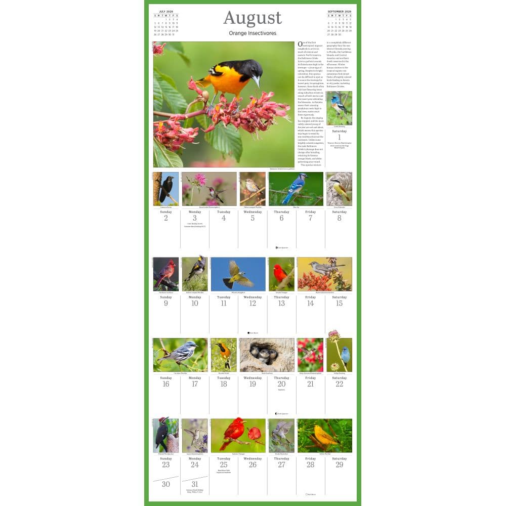 Audubon 365 Songbirds 2026 Wall Calendar Third Alternate Image