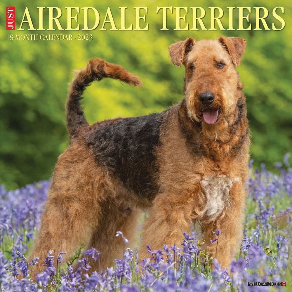 Willow Creek Press Just Airedale Terriers 2023 Wall Calendar