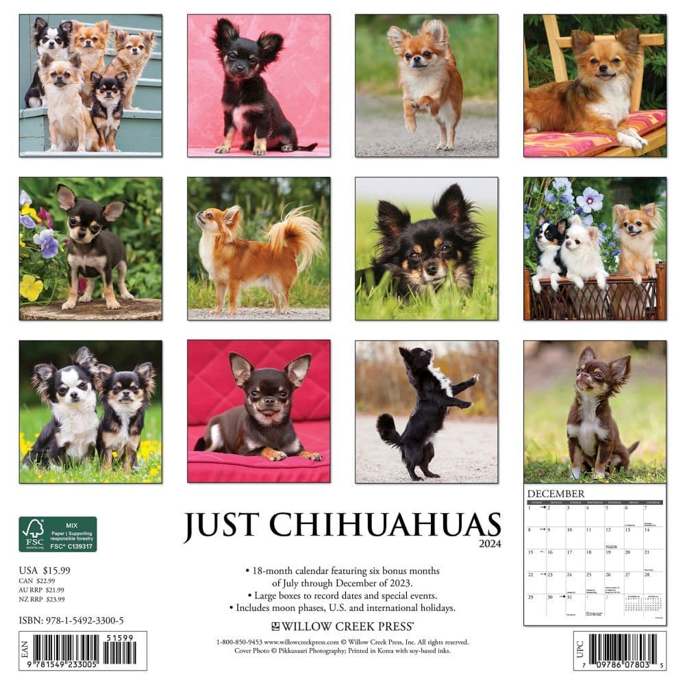 Just Chihuahuas 2024 Wall Calendar