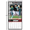 image MLB Arizona Diamondbacks 2025 Wall Calendar Fifth Alternate Image