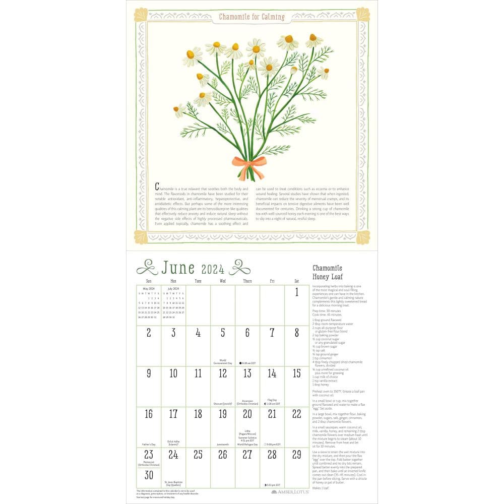 Kitchen Magical Food 2024 Wall Calendar Calendars Com   98846547 Fdb7 4cc5 898f 265b097470c5