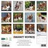 image Just Basset Hounds 2026 Wall Calendar First Alternate Image