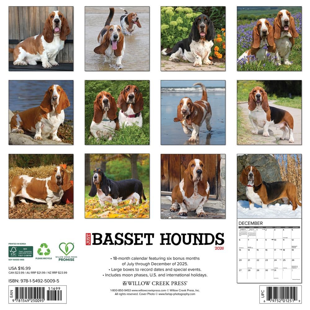 Just Basset Hounds 2026 Wall Calendar First Alternate Image
