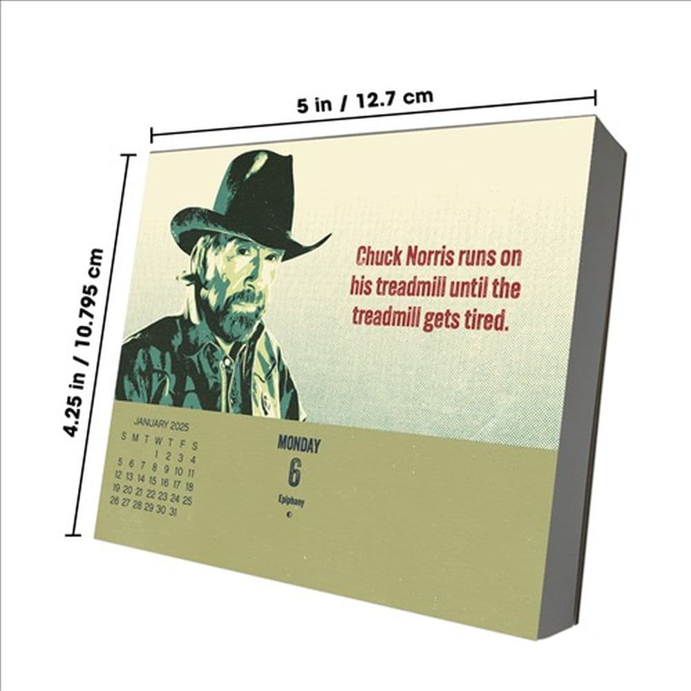 Chuck Norris 2025 Desk Calendar Seventh Alternate Image