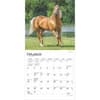 image Horses 2025 Mini Wall Calendar Second Alternate Image