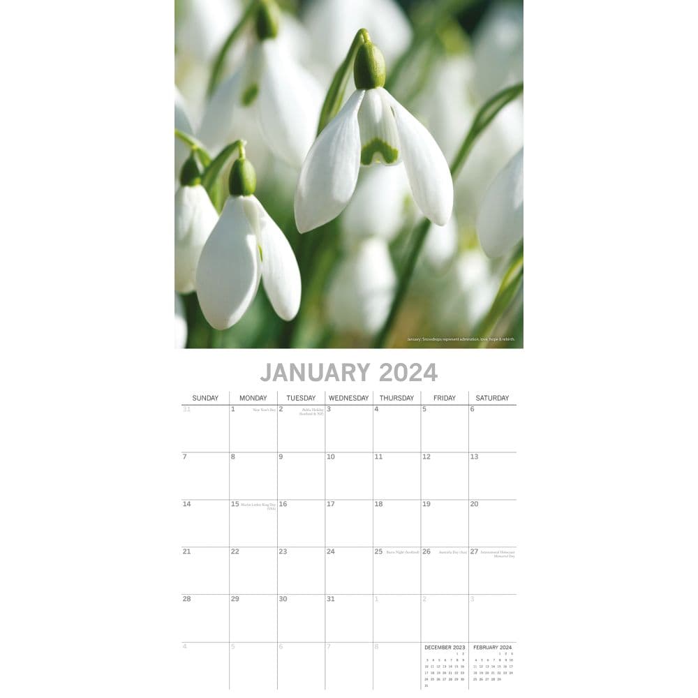 Flower of the Month 2024 Wall Calendar