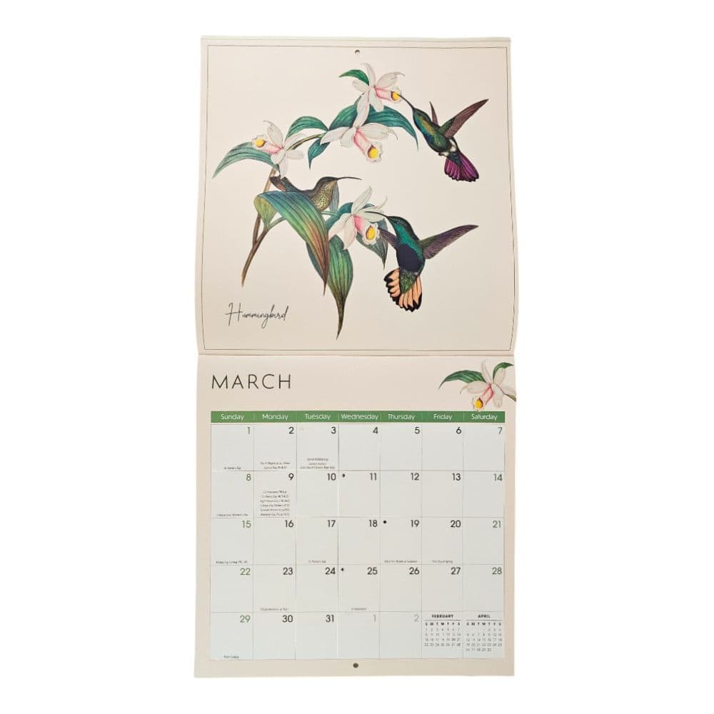 Birds 2026 Wall Calendar Fifth Alternate Image
