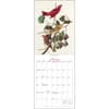 image Audubon Birds of America 2025 Wall Calendar Second Alternate Image width=&quot;1000&quot; height=&quot;1000&quot;