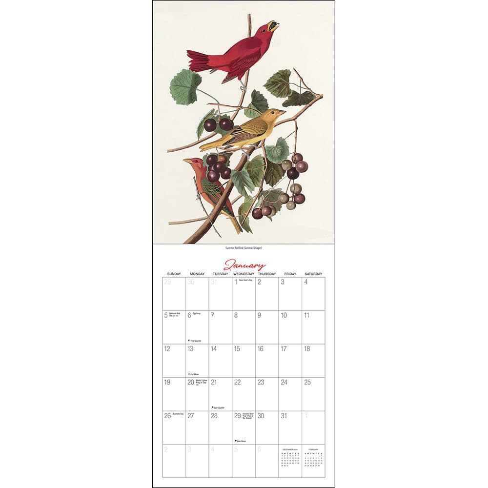 Audubon Birds of America 2025 Wall Calendar Second Alternate Image width="1000" height="1000"
