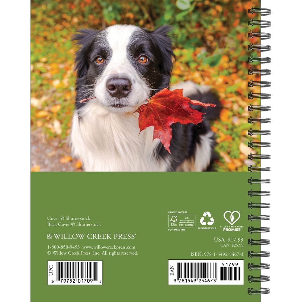 What Dogs Teach Us 2026 Engagement Planner First Alternate Image