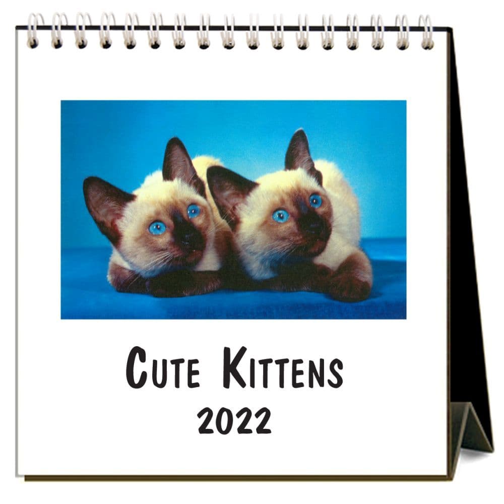 Cute Kittens 2022 Desk Calendar