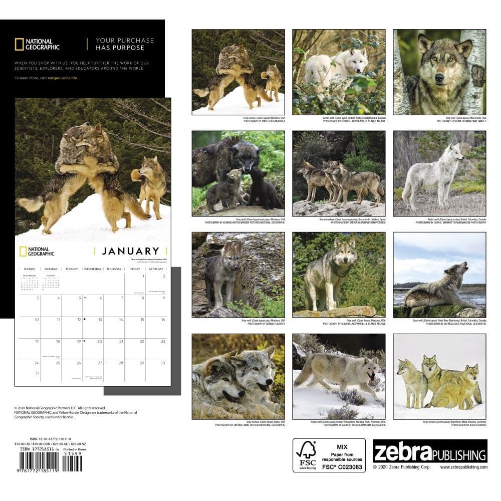 Wolves National Geographic Wall Calendar