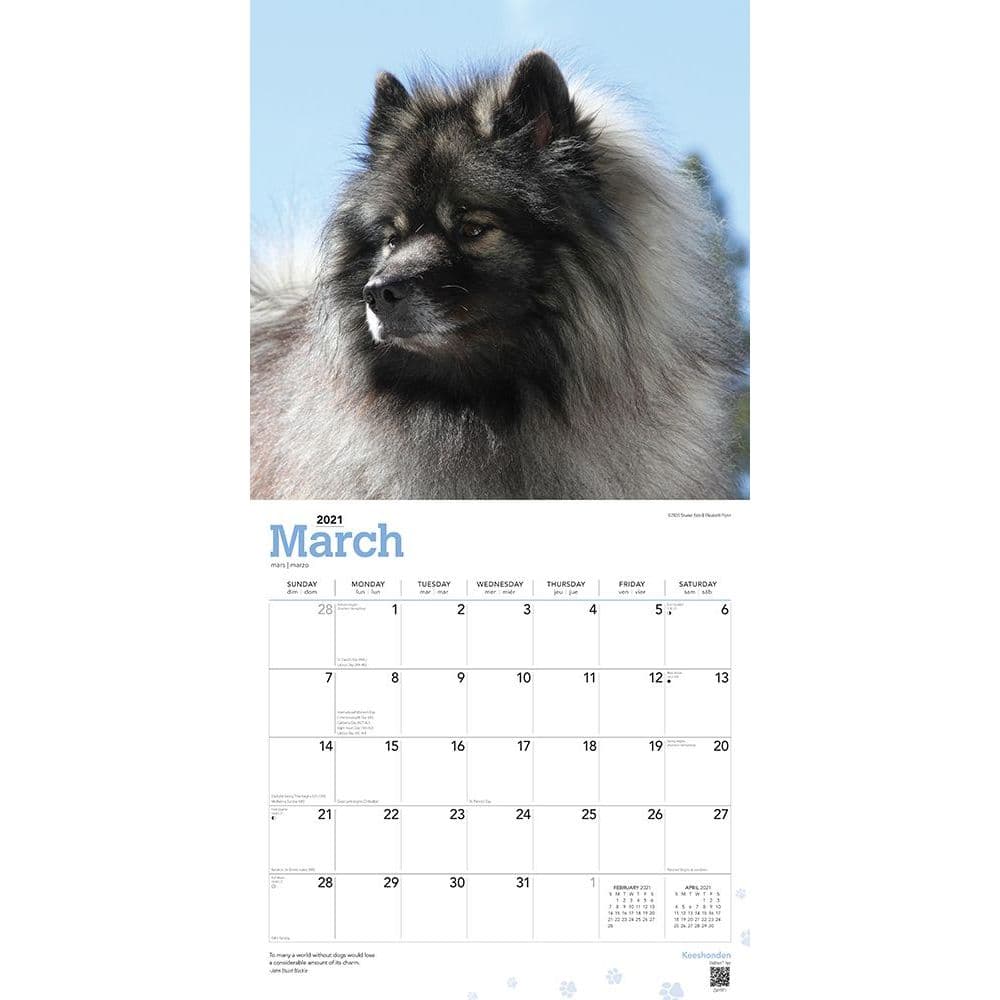 Keeshond Calendar 2021 Premium Dog Breed Calendars 