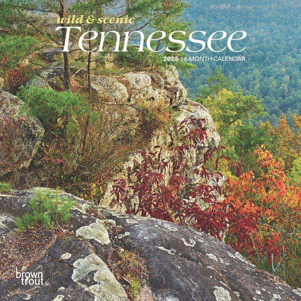Tennessee 2025 Mini Wall Calendar