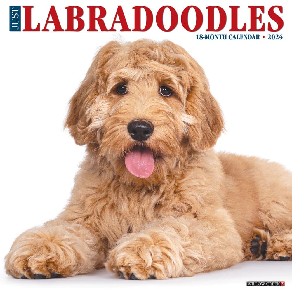 labradoodle grooming ideas        
        <figure class=