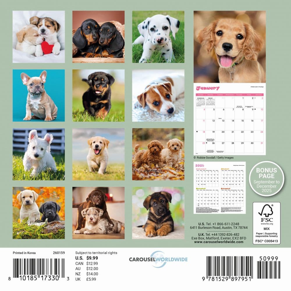 Puppies 2026 Mini Wall Calendar First Alternate Image