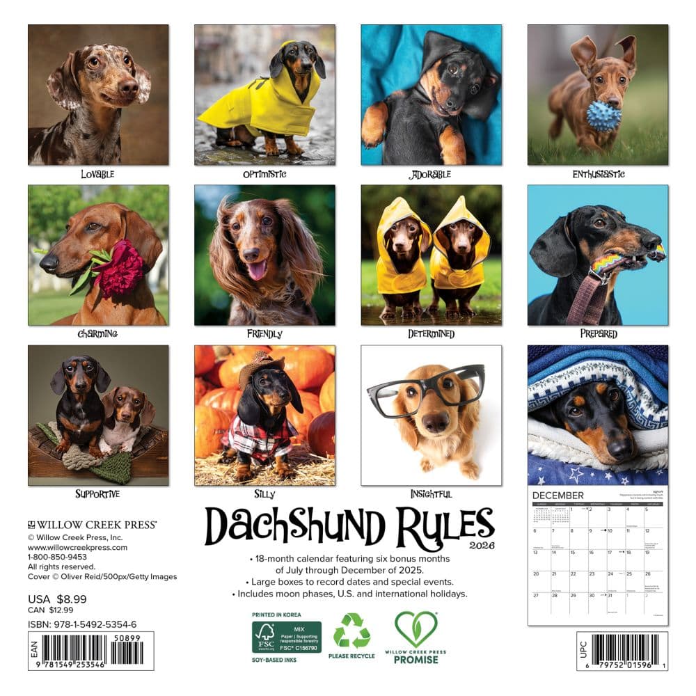 Dachshund Rules 2026 Mini Wall Calendar First Alternate Image