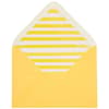 image Woman in Stripes Birthday Card envelope interior