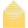 image Woman in Stripes Birthday Card envelope interior