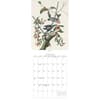 image Audubon Birds of America 2026 Wall Calendar Second Alternate Image