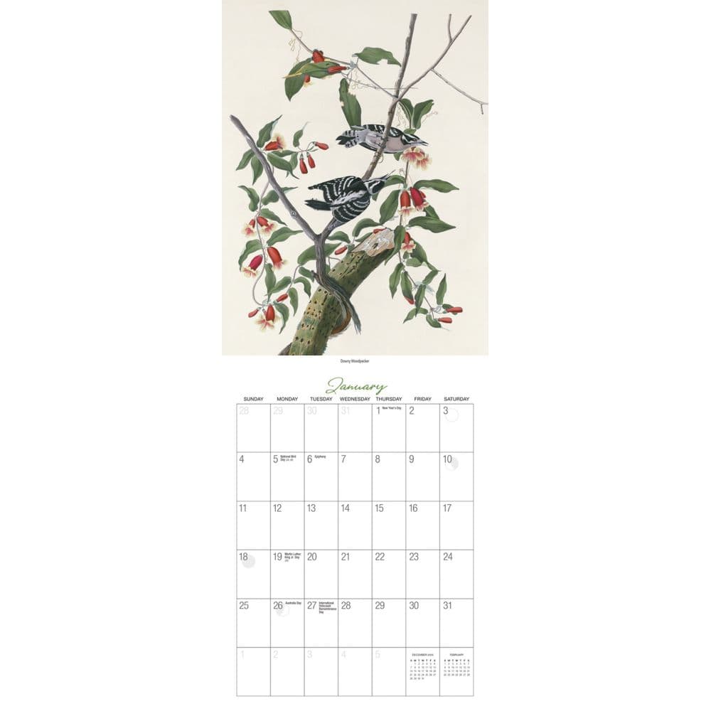 Audubon Birds of America 2026 Wall Calendar Second Alternate Image