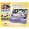 image Cat Naps 2026 Desk Calendar First Alternate Image