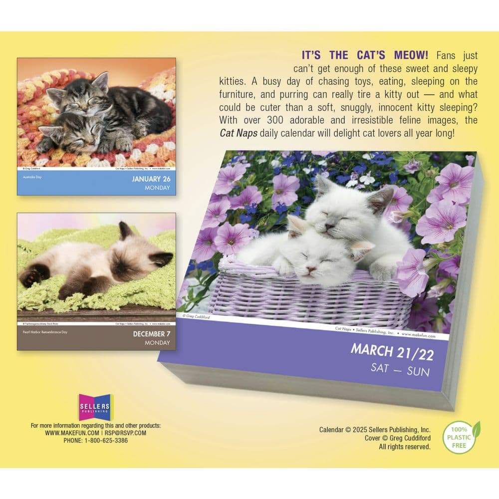 Cat Naps 2026 Desk Calendar First Alternate Image