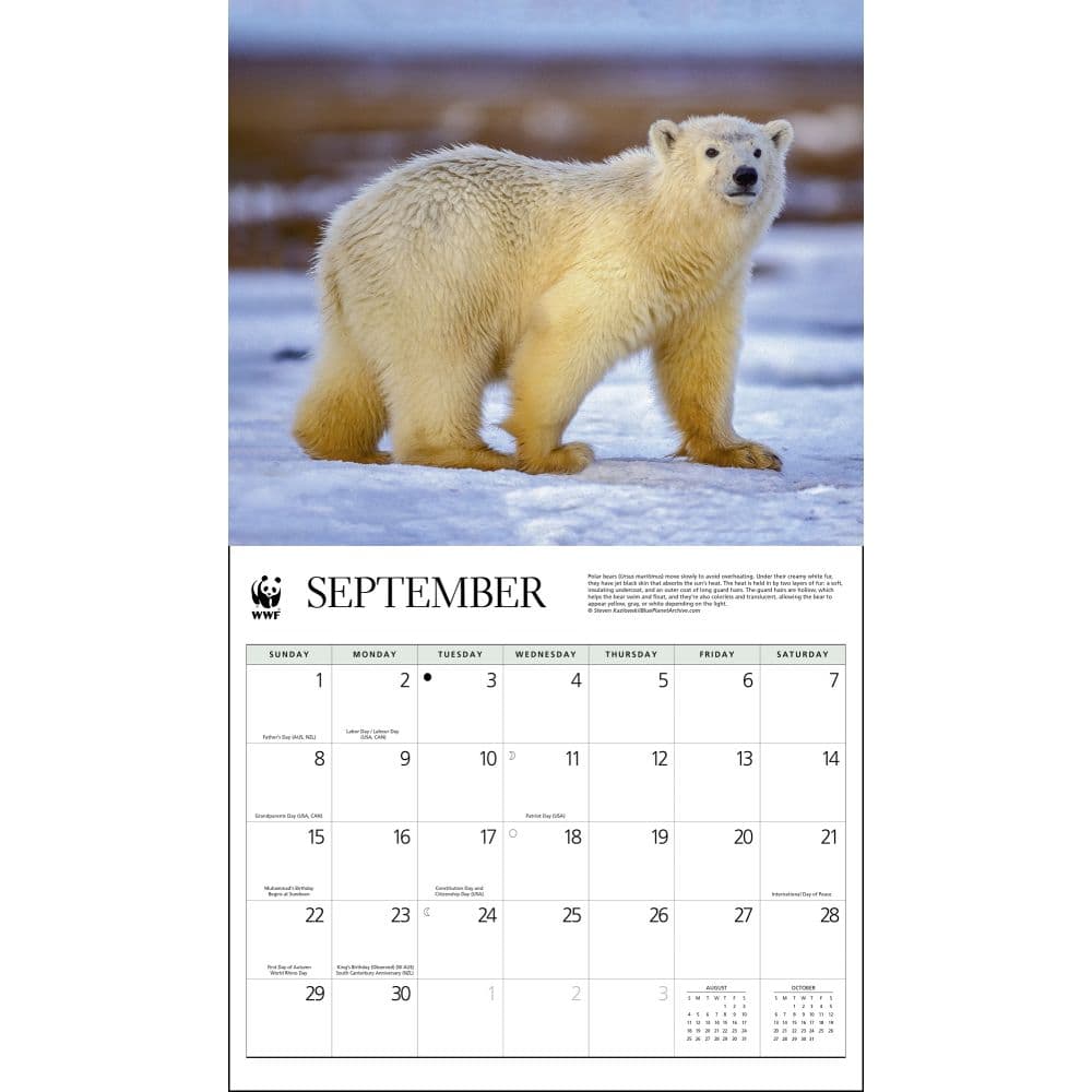 We Bare Bears Calendar 2025 Printable Aimee Atlante