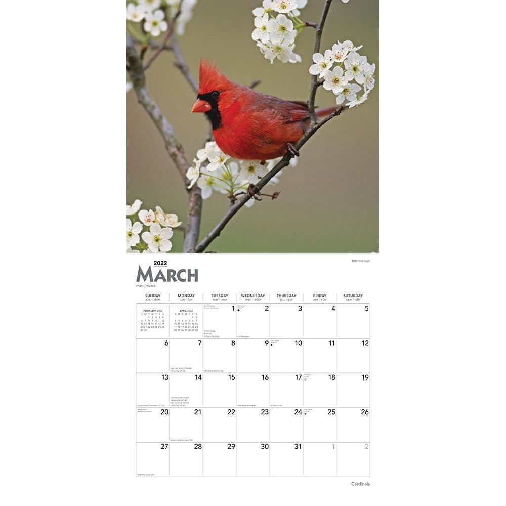 Cardinals 2022 Wall Calendar - Calendars.com