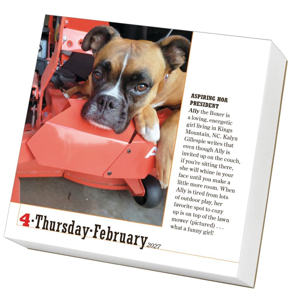 365 Dogs 2027 Page-A-Day Desk Calendar Second Alternate Image