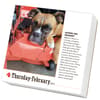 image 365 Dogs 2027 Page-A-Day Desk Calendar Second Alternate Image