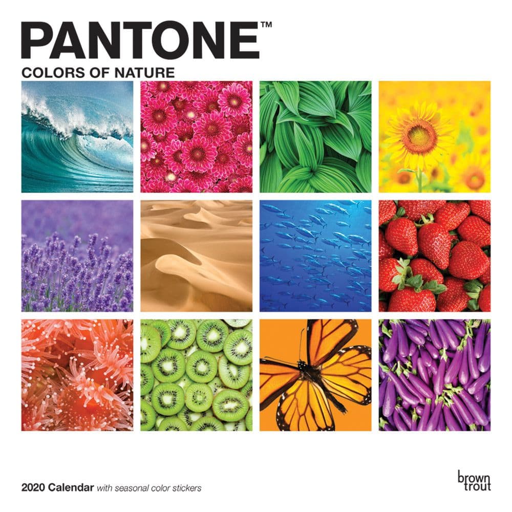 Pantone Wall Calendar