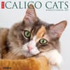image Calico Cats 2025 Wall Calendar Main Image