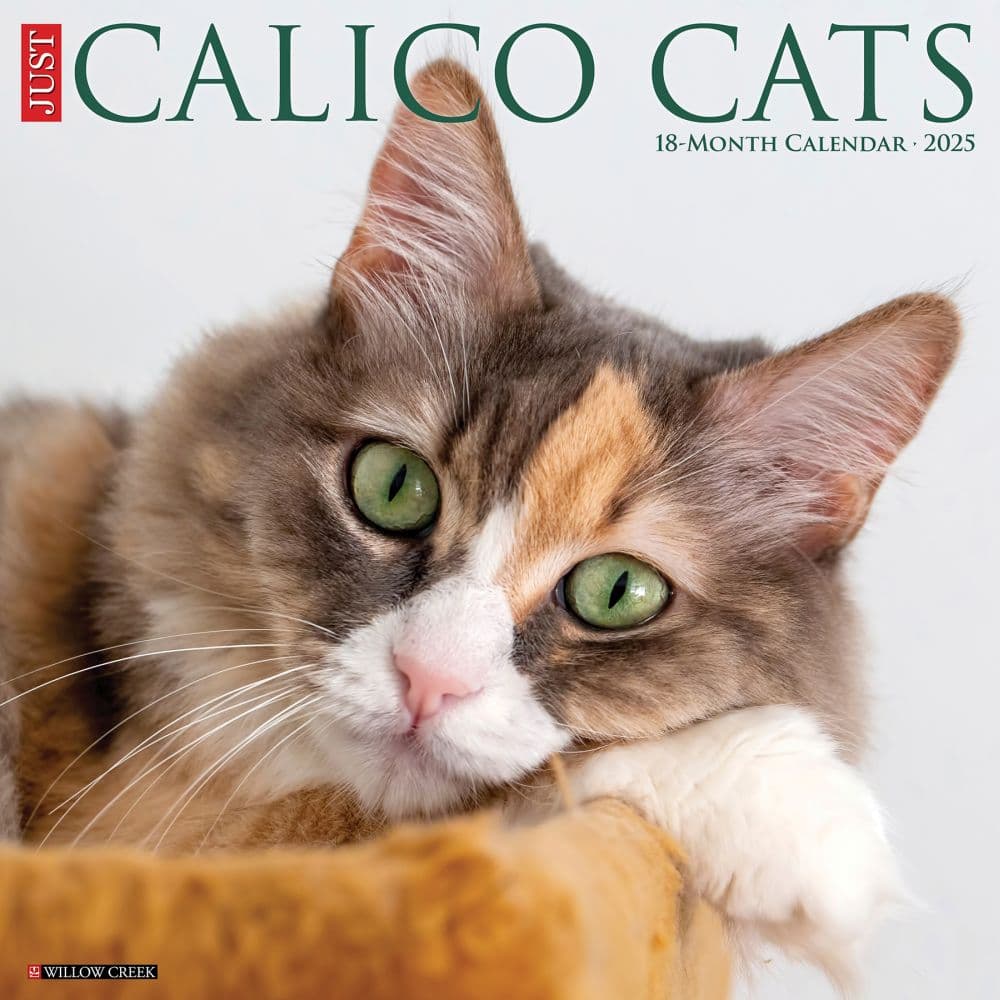 Calico Cats 2025 Wall Calendar Main Image