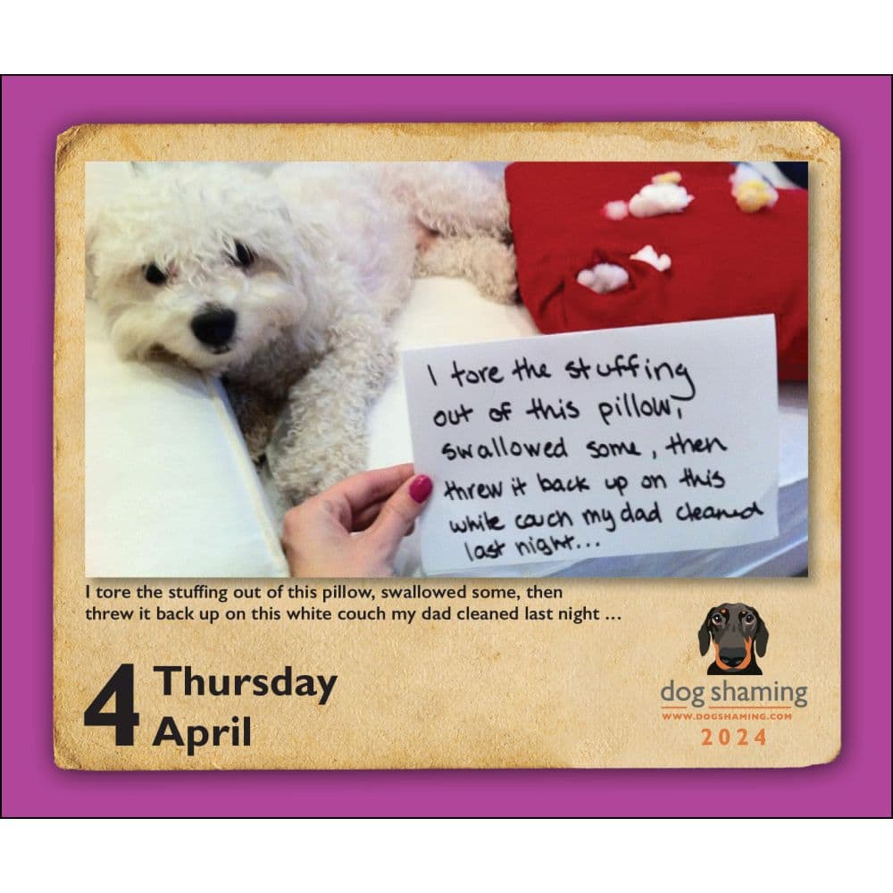 Dog Shaming 2024 Desk Calendar