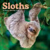 image Sloths 2027 Mini Wall Calendar Main Product Image
