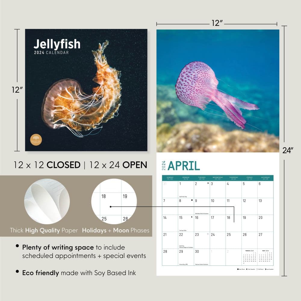 Jellyfish 2024 Wall Calendar Eighth Alternate Image width=&quot;1000&quot; height=&quot;1000&quot;