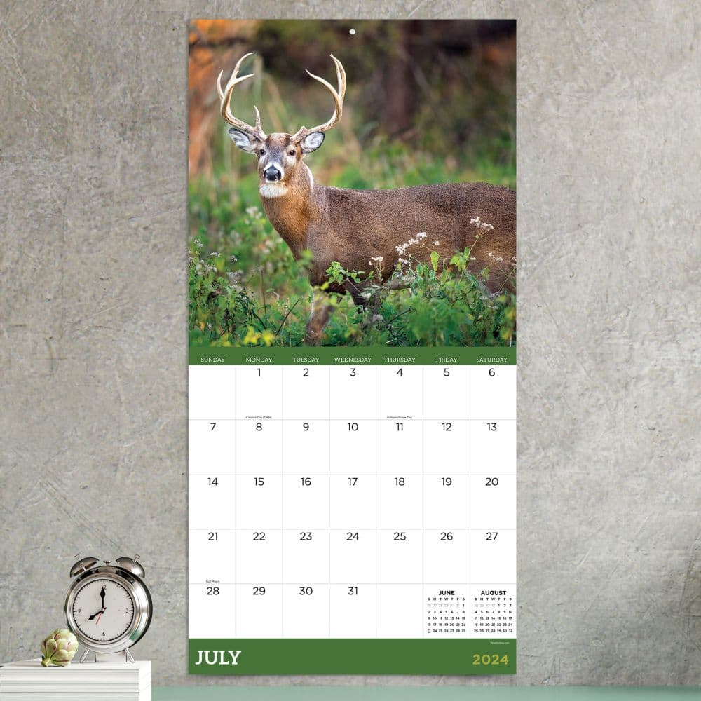 Deer 2024 Wall Calendar Calendars Com   995c4e79 346e 4260 Bf73 Bb937b900e91