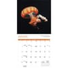 image Jellyfish 2024 Wall Calendar Second Alternate Image width=&quot;1000&quot; height=&quot;1000&quot;