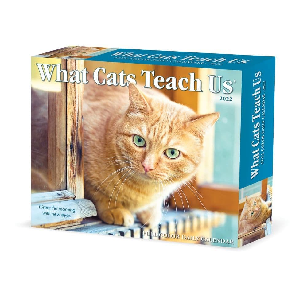 What Cats Teach Us 2022 Desk Calendar