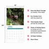 image Ferrets 2025 Wall Calendar Fourth Alternate Image width="1000" height="1000"