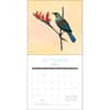 image Birds of the World 2024 Wall Calendar Third Alternate Image width=&quot;1000&quot; height=&quot;1000&quot;
