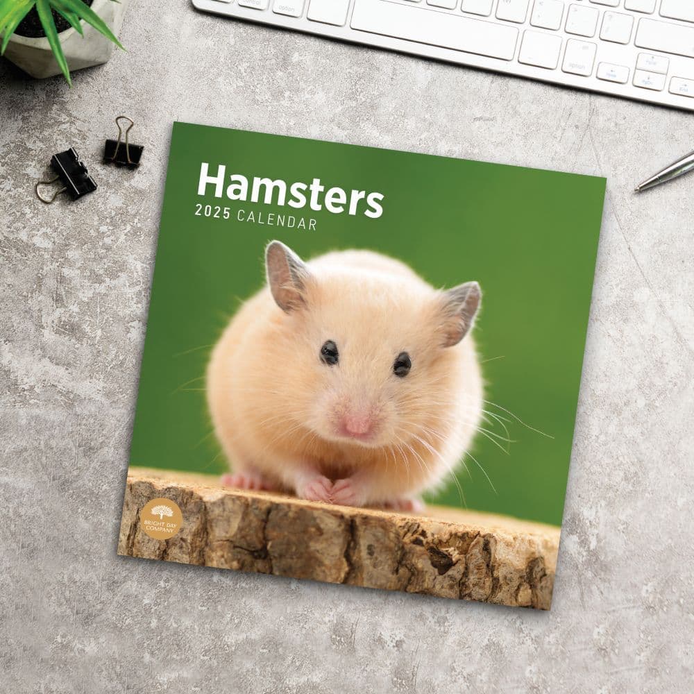 Hamsters 2025 Wall Calendar Fourth Alternate Image