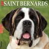 image Saint Bernards 2025 Wall Calendar Main Product Image width=&quot;1000&quot; height=&quot;1000&quot;