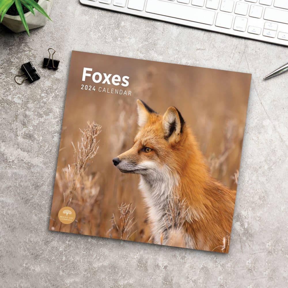 Foxes 2024 Wall Calendar Fifth Alternate Image width=&quot;1000&quot; height=&quot;1000&quot;
