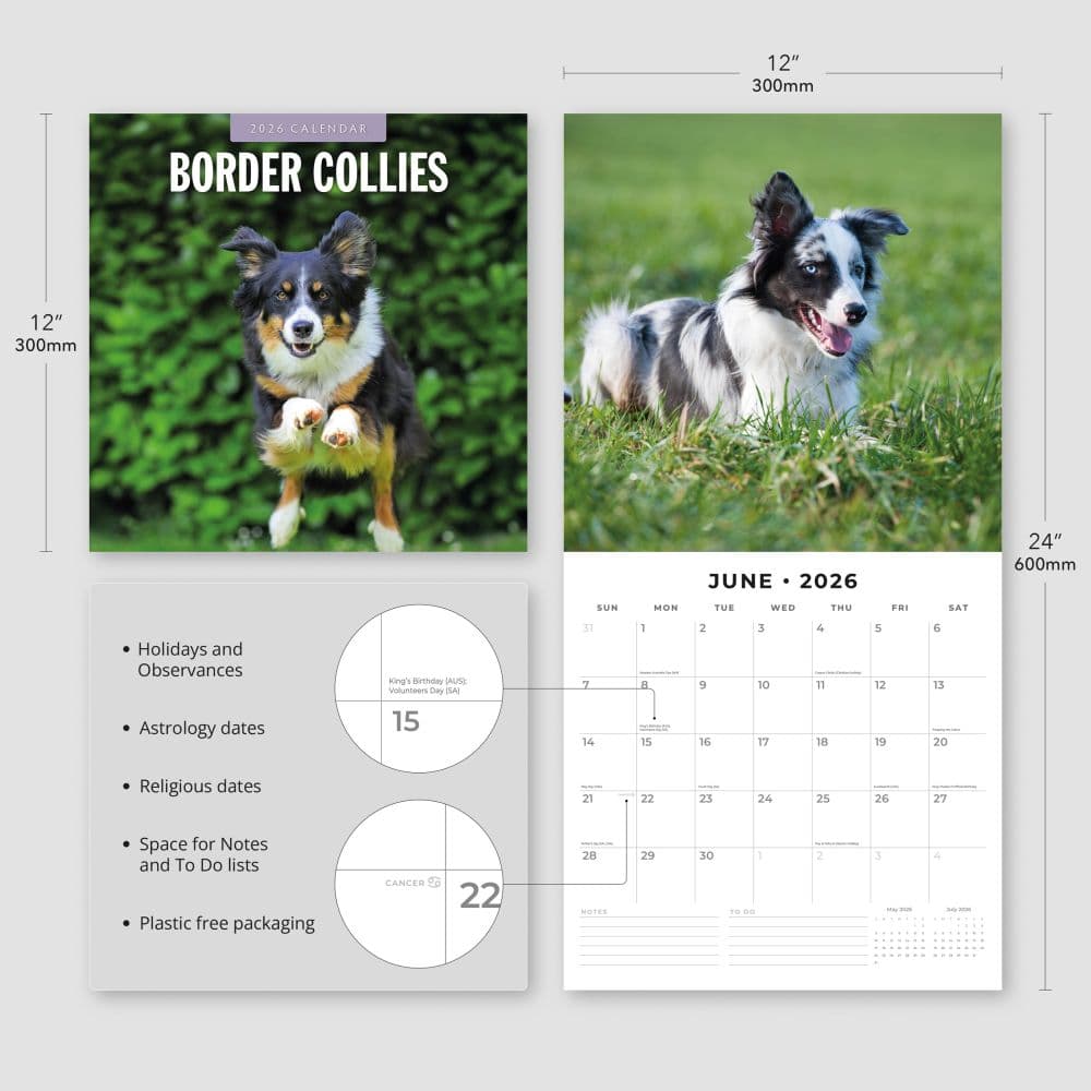 Border Collies 2026 Wall Calendar Fourth  Alternate Image